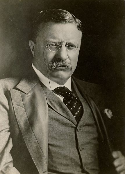 Слика:Theodore Roosevelt 1901-08.jpg
