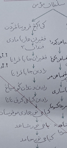 Anak cucu sultan mukmin9.png