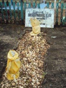 Sultan Badarul Alam.jpg