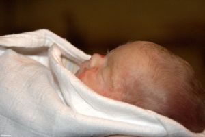 Fabian van der Molen.jpg