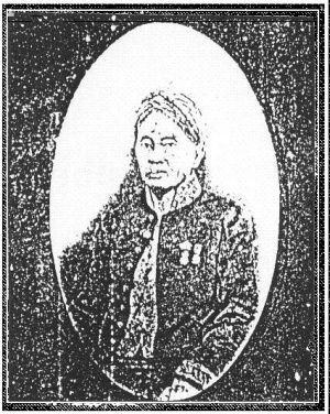 Nitidiningrat I - GROEDO.JPG