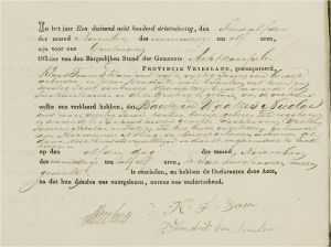 Overlijdensakte Baukjen Waatzes Nicolai.JPG