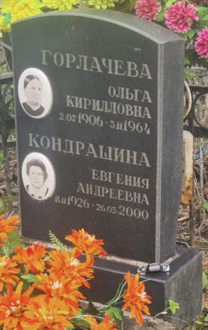 Кондрашина Ольга file.png