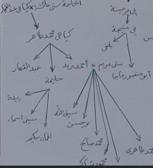 Anak cucu hajjah aisyah.png