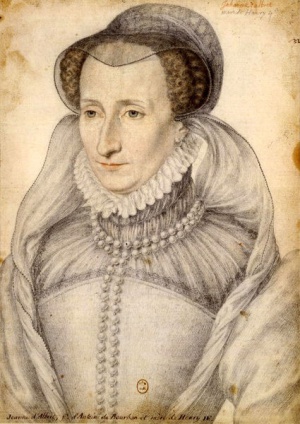 Jeanne III d'Albret-navarre.jpg