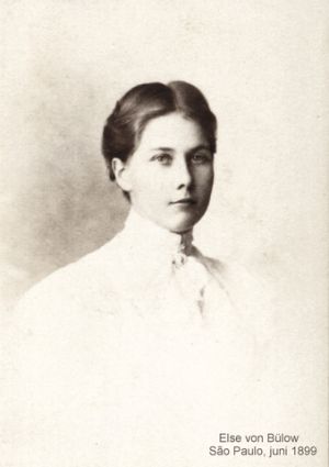 1567545.jpg