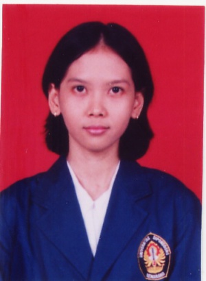NOVI B Permadi.jpg
