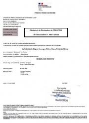 Creation of the "Rodovid genealogy" association in France.