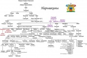 Arbre généalogique des Naryshkins jusqu'à la fin du 19e siècle.