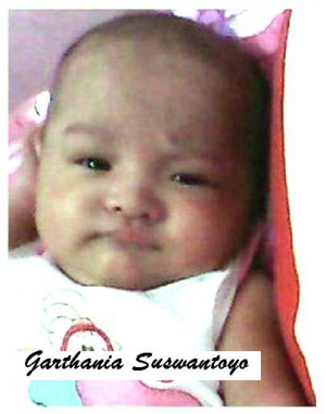 Garthania S.jpg