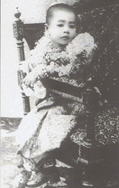 Image:800px-Vimolnaka Nabisi.jpg