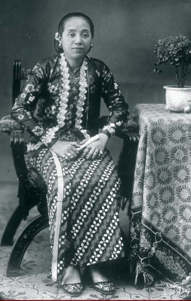 Слика:Bra suronegoro.jpg