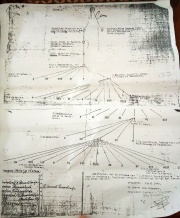 Joko Sangkrib family tree?