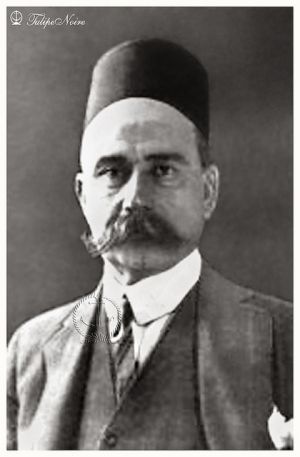 7378341194 28a518abb0 z.jpg